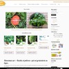 Basilic et Potiron.fr