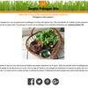 Jardin Potager Bio
