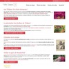 MesTulipes - Le guide pour tout savoir sur la Tulipe